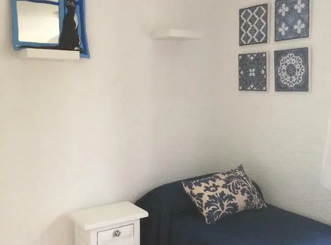 Oasis * دينايا